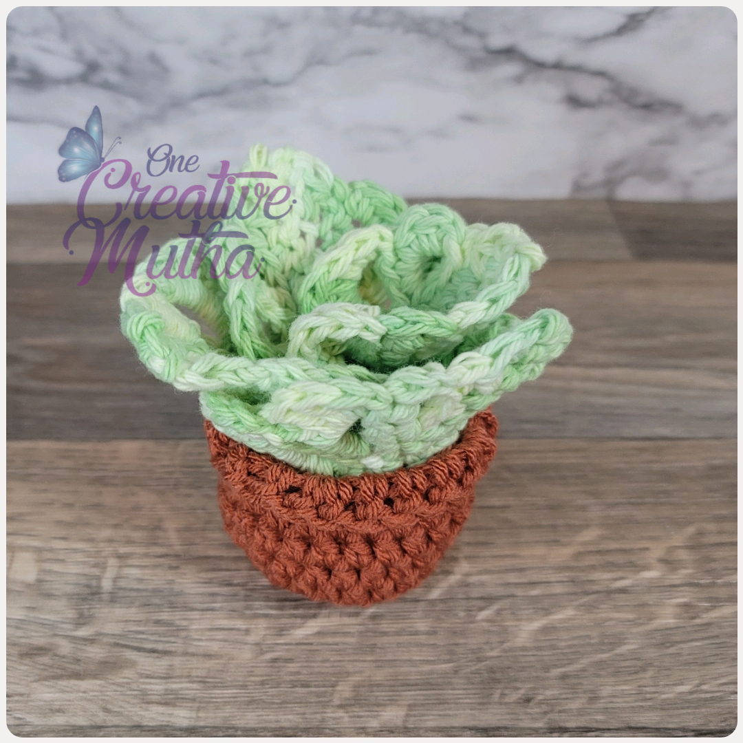 Monstera Leaves and Pot Coaster set