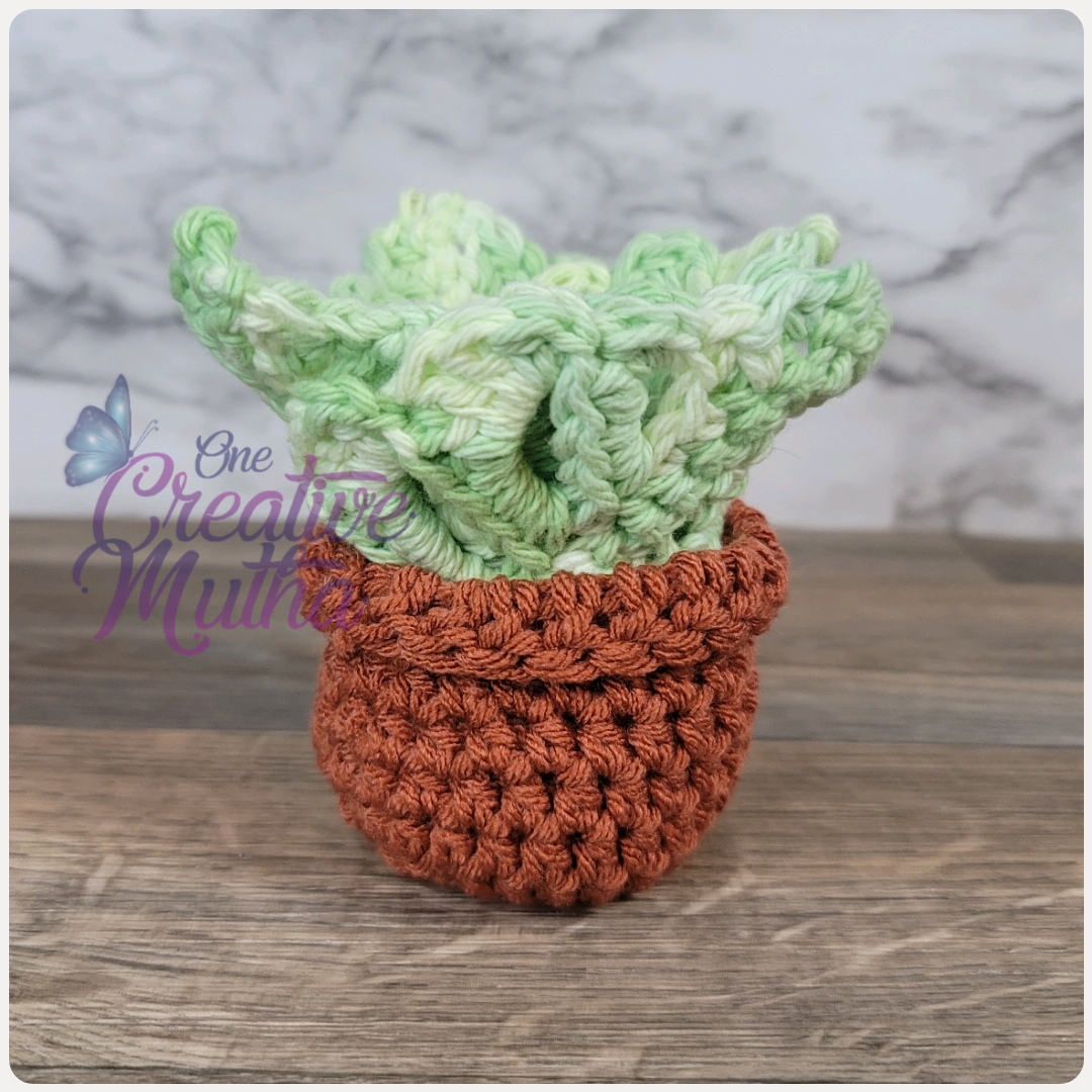 Monstera Leaves and Pot Coaster set